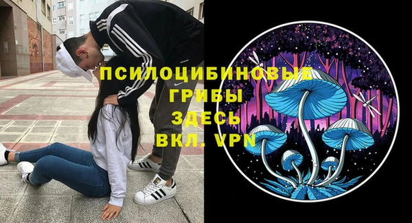2c-b Богданович