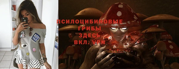 твердый Богородицк