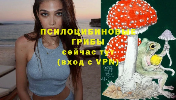 эйфоретик Богородск
