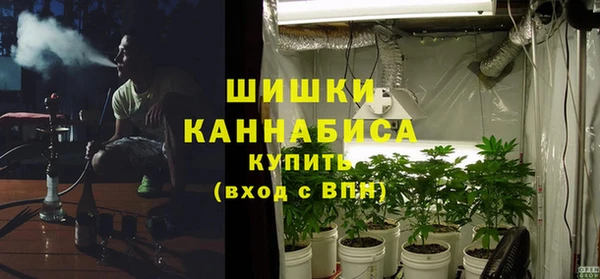 твердый Богородицк