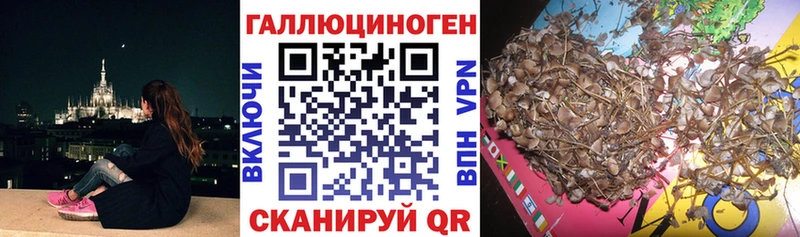 Галлюциногенные грибы мухоморы  Кодинск 