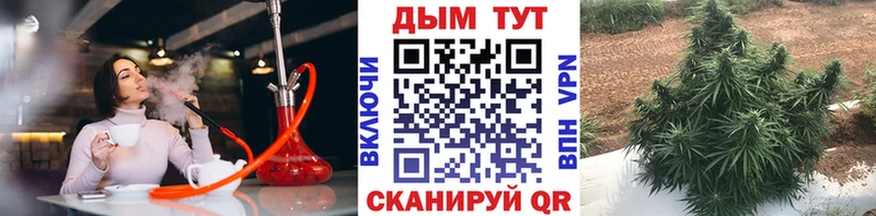 Конопля тримм  Кодинск 